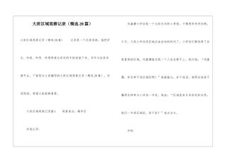 大班区域观察记录