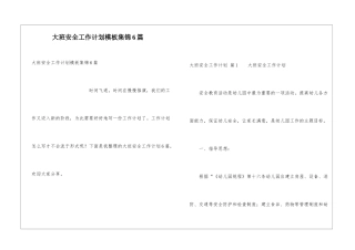 大班安全工作计划模板集锦6篇