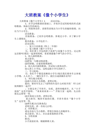 大班教案《像个小学生》