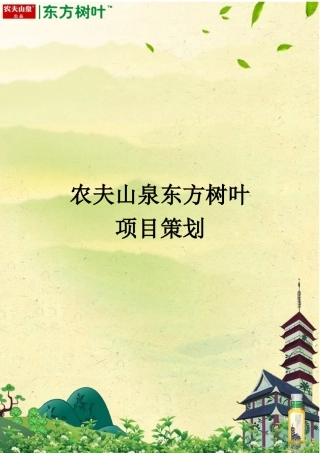 农夫山泉东方树叶项目策划[1218]