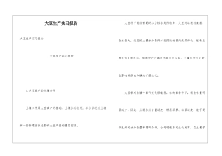 大豆生产实习报告