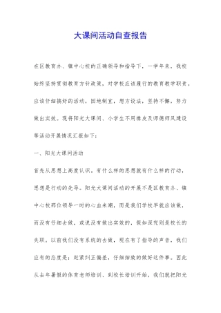 大课间活动自查报告-