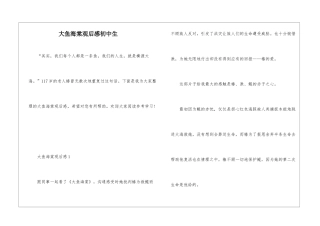 大鱼海棠观后感初中生