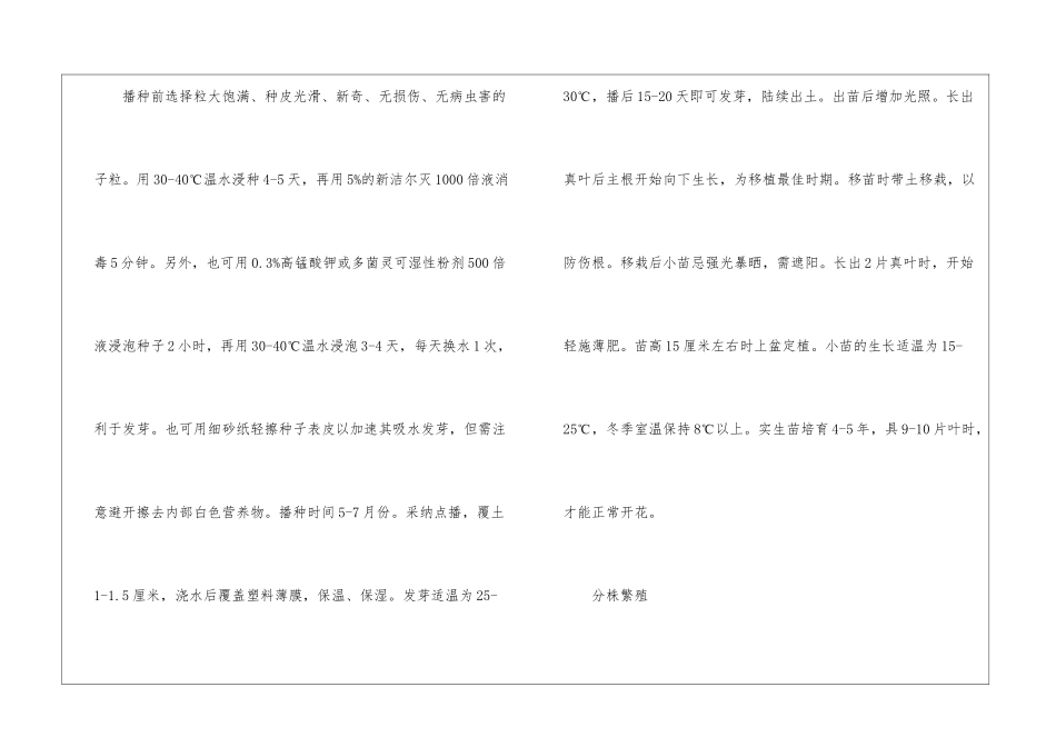 天堂鸟花语的含义-鲜花礼仪_第3页