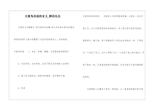 天堂鸟花语的含义-鲜花礼仪