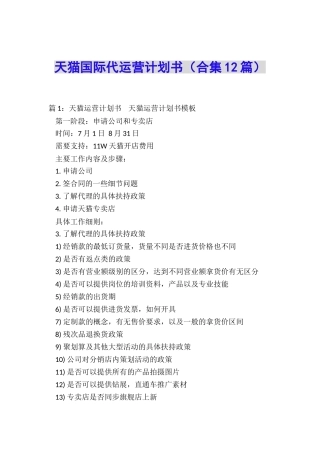 天猫国际代运营计划书