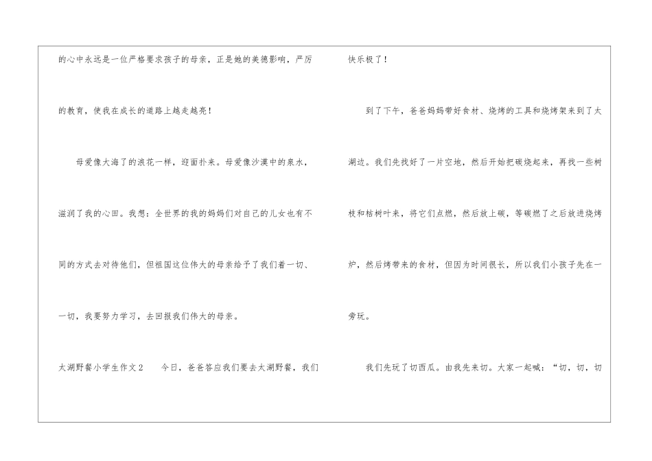 太湖野餐小学生作文_第3页