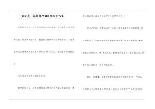 太阳花五年级作文600字左右5篇