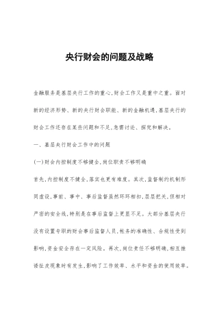 央行财会的问题及战略