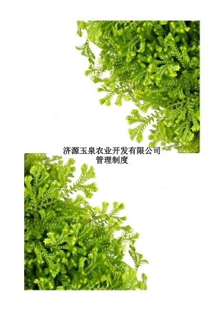 农业开发有限公司管理制度模板