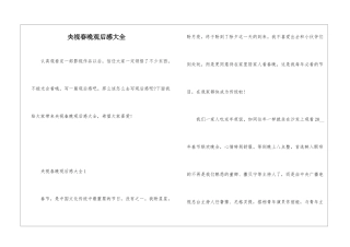 央视春晚观后感大全