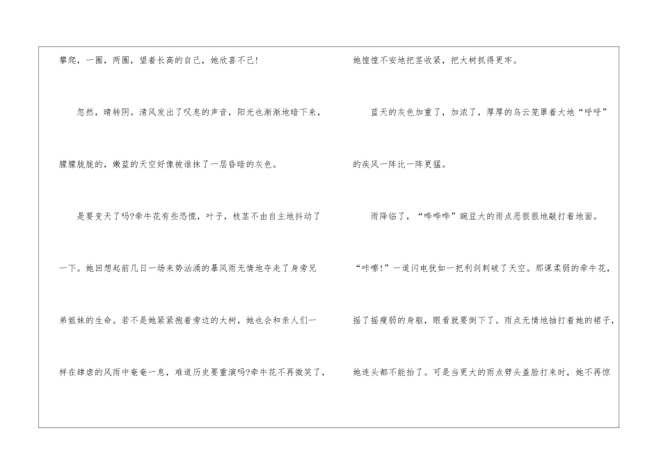奇妙的牵牛花作文最新5篇_第3页