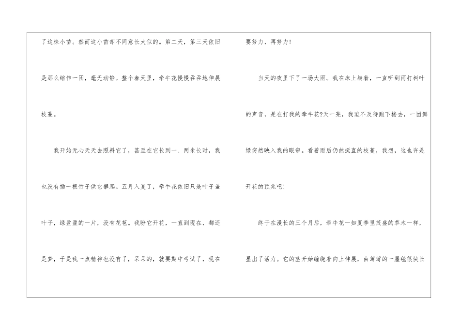 奇妙的牵牛花主题作文最新5篇_第2页
