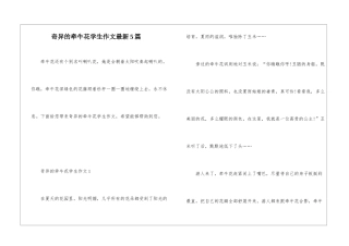 奇妙的牵牛花学生作文最新5篇