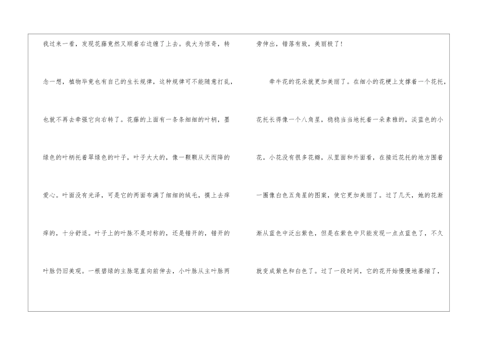 奇妙的牵牛花高中学生作文最新5篇_第2页