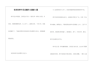 奇妙的牵牛花话题作文最新5篇