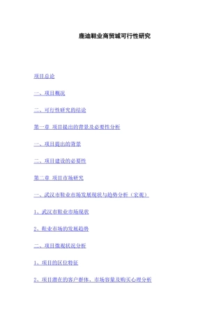 华中鞋业商贸城建设项目可行性研究