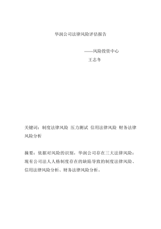 华润公司风险评估报告