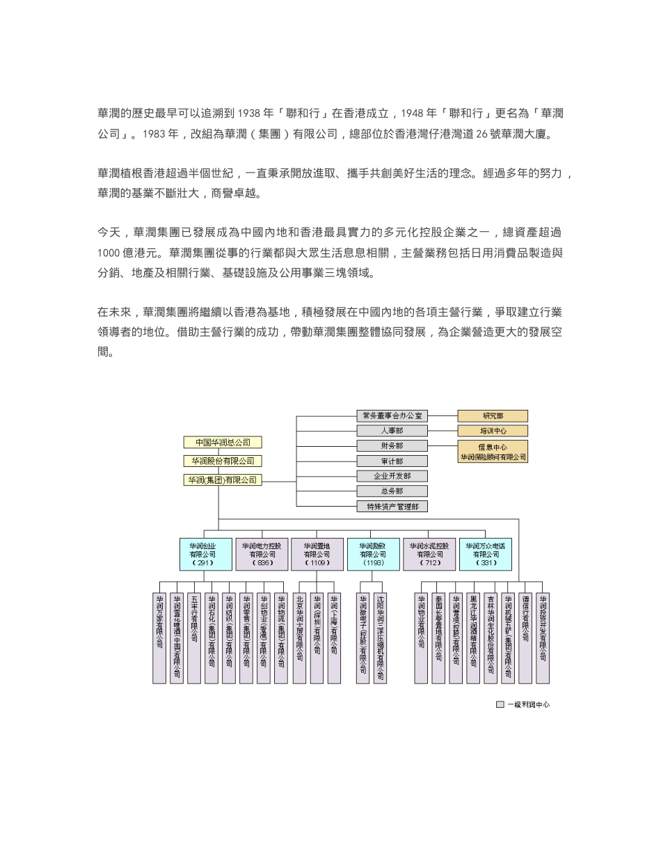 华润集团经营管理手册_第2页