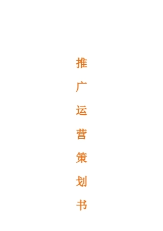 化妆品类目天猫运营推广策划书
