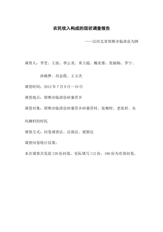 农民收入构成分析调查报告正文