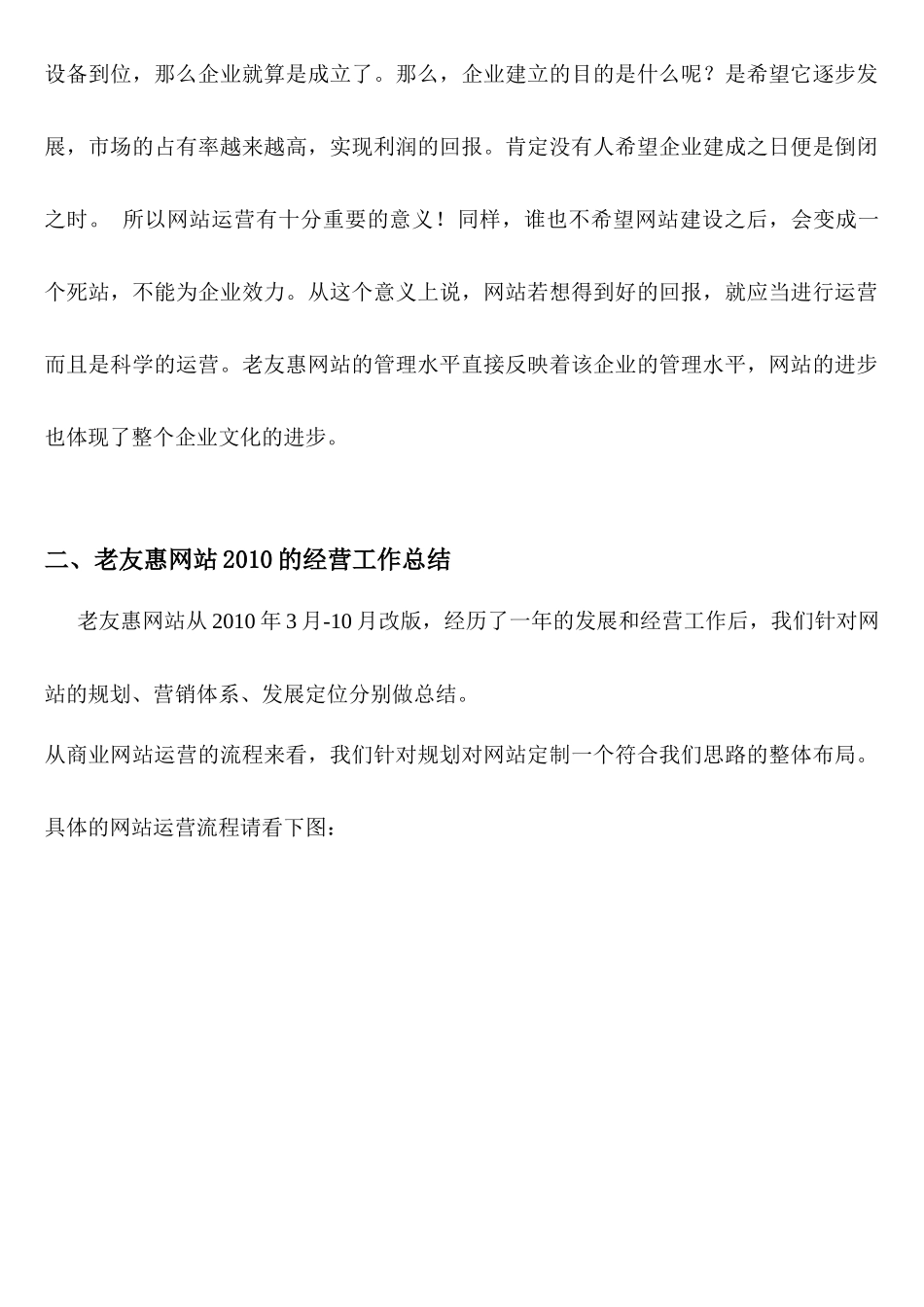 华夏艳阳网站年度经营工作总结_第2页