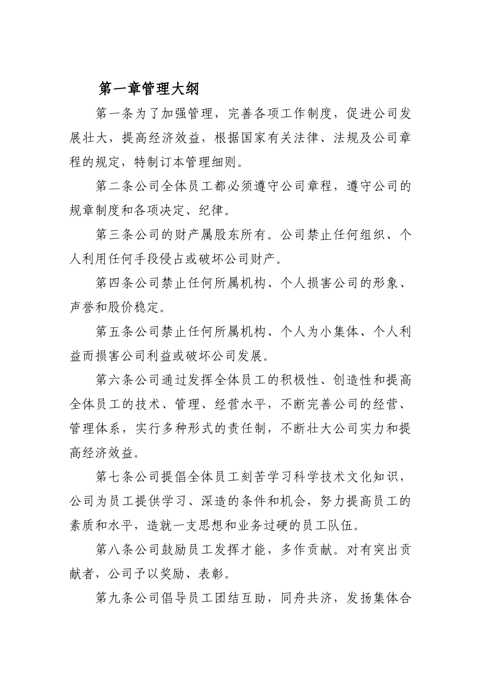 分公司内部管理规章制度_第2页