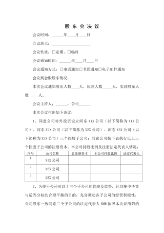 分子公司法定代表人授权系列文件