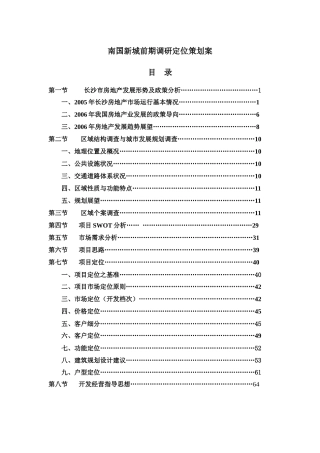 南国新城前期定位策划(wan)