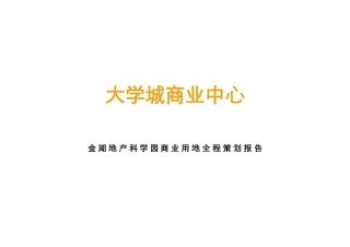 南京江宁大学城商业全程策划报告-优派克斯-106DOC
