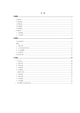 南京江宁项目报告