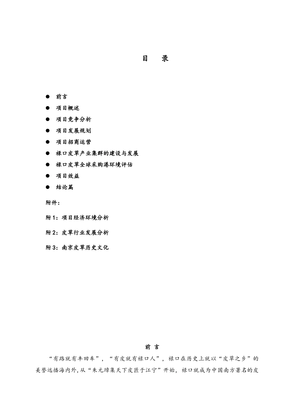 南京禄口皮草全球采购港_政府报告初稿3333_第2页
