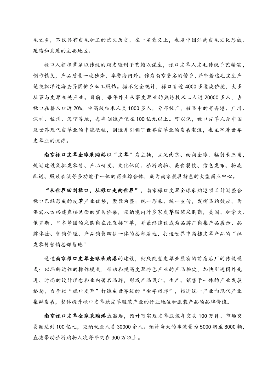 南京禄口皮草全球采购港_政府报告初稿3333_第3页