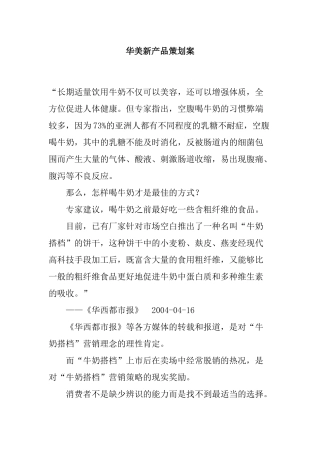 华美新产品策划案