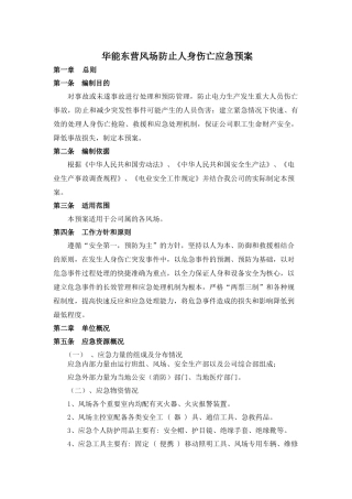 华能东营防止人身伤亡应急预案
