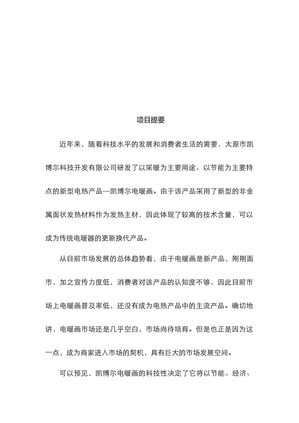 凯博尔电暖画商业计划书(doc 39页)_第2页