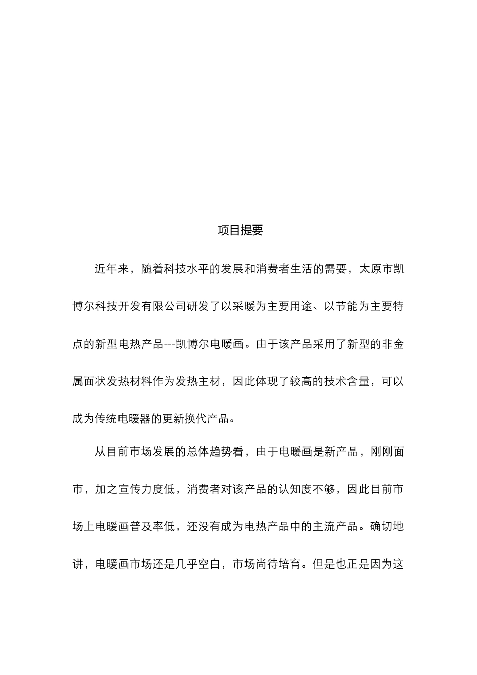 凯博尔电暖画商业计划书_第2页