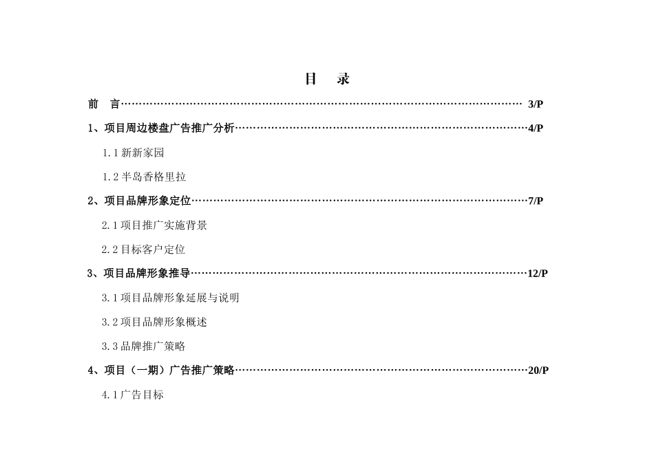 南宁市项目推广策划案_第2页
