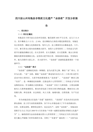 凉山州布拖县非物质文化遗产项目开发
