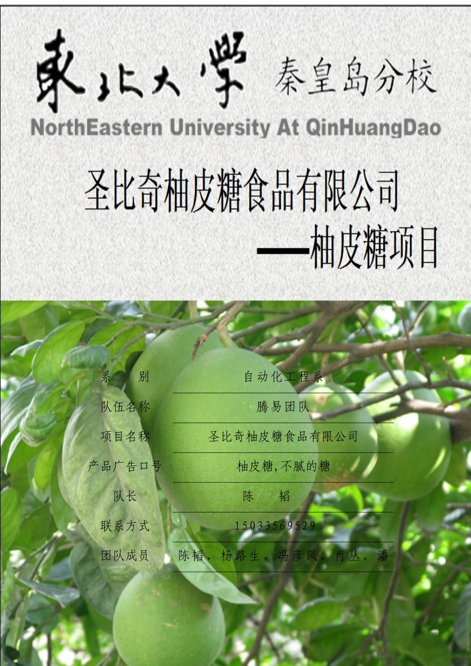 创业计划书—圣比奇柚皮糖食品有限公司计划书_第1页