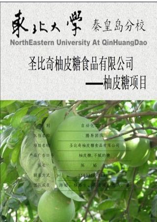 创业计划书—圣比奇柚皮糖食品有限公司计划书