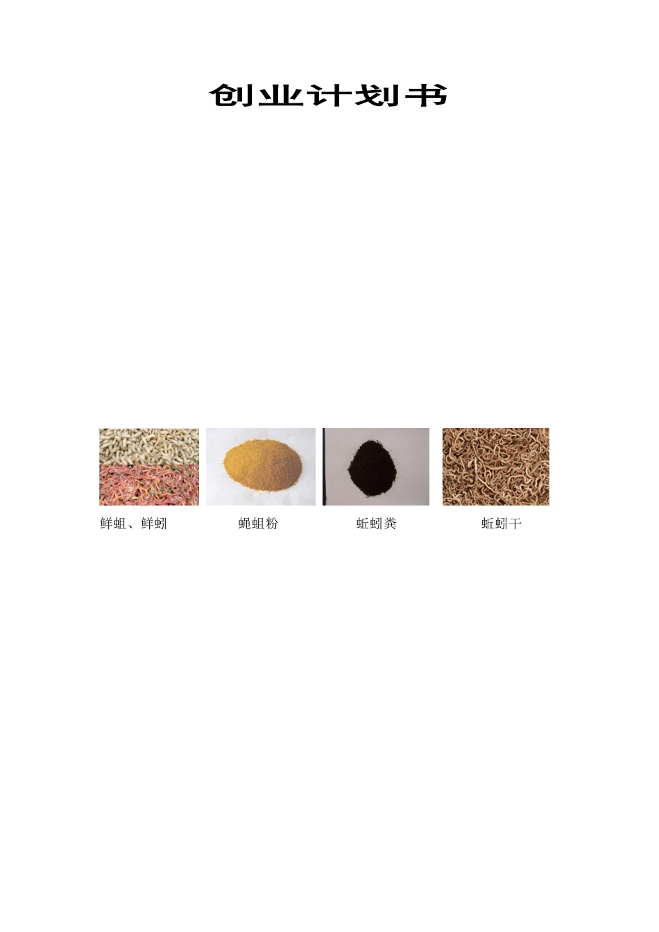 创业计划书实例模板_第2页