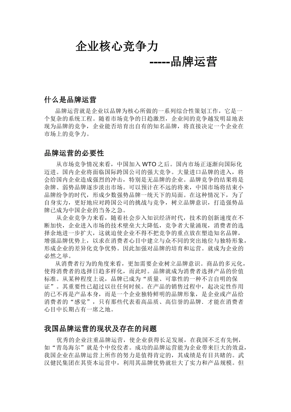 企业核心竞争力及品牌运营_第1页