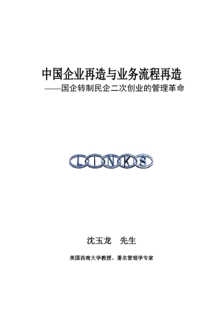 企业流程再造-沈玉龙