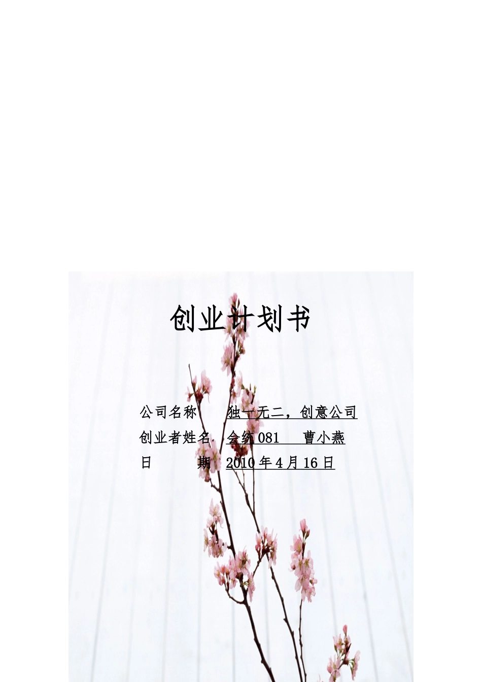 创意公司的创业计划书_第1页