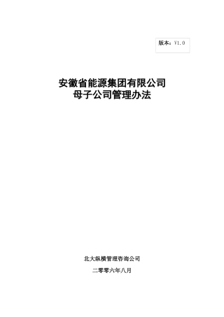 分报告5-安徽省能源集团有限公司母子公司管理办法V10