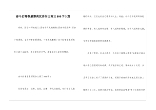 奋斗的青春最美丽优秀作文高三800字5篇