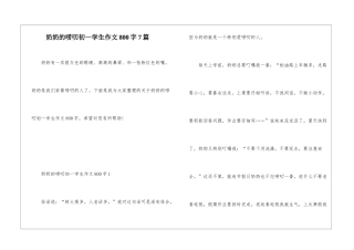 奶奶的唠叨初一学生作文800字7篇