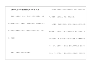 她生气了五年级优秀作文450字10篇
