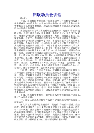 妇联动员会讲话
